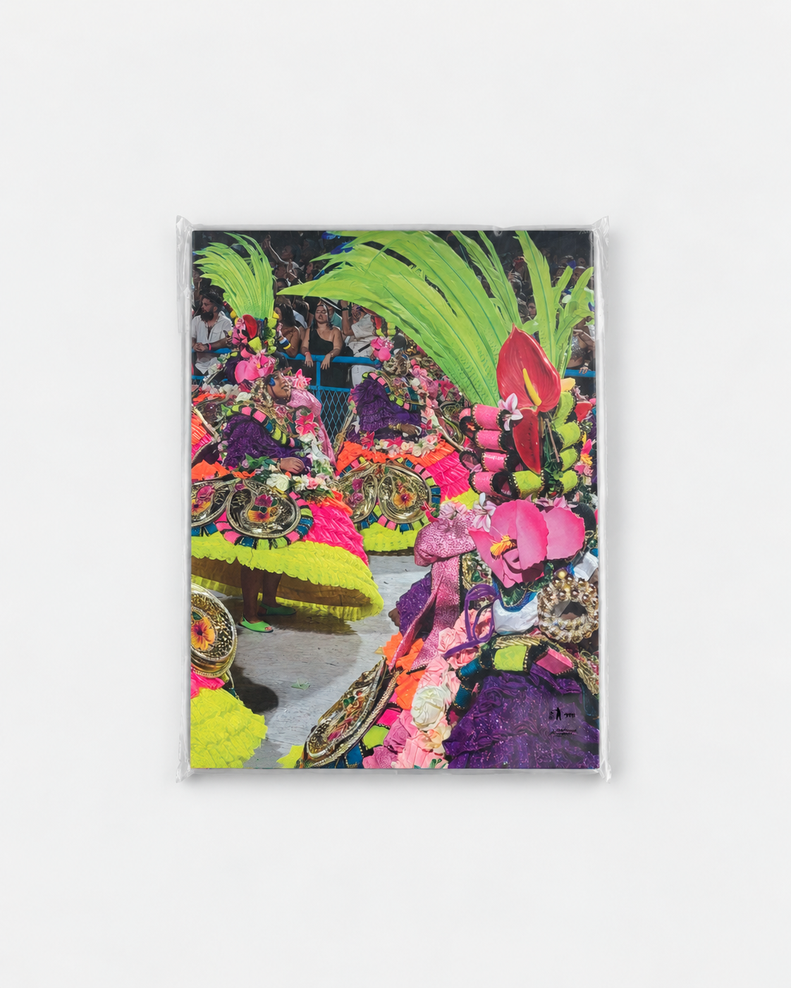 Issue 3 [Juliana]